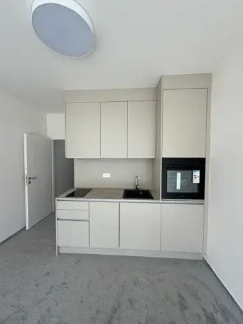 Pronájem bytu 1+kk, Praha - Vysočany, Gerstelova, 43 m2