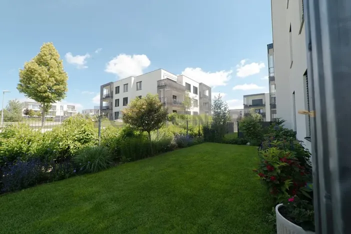 Pronájem bytu 2+kk, Olomouc, Karla Mareše, 83 m2