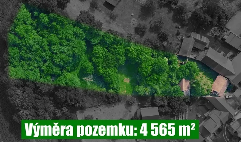 Prodej pozemku pro bydlení, Koryčany - Blišice, 4565 m2