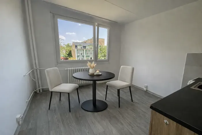 Pronájem bytu 1+1, Litvínov, U Bílého sloupu, 40 m2