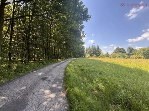 Prodej pozemku pro bydlení, Albrechtice, Loucká, 2485 m2