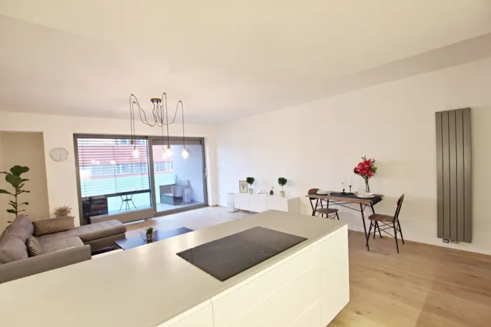 Pronájem bytu 3+kk, Brno - Staré Brno, Anenská, 105 m2