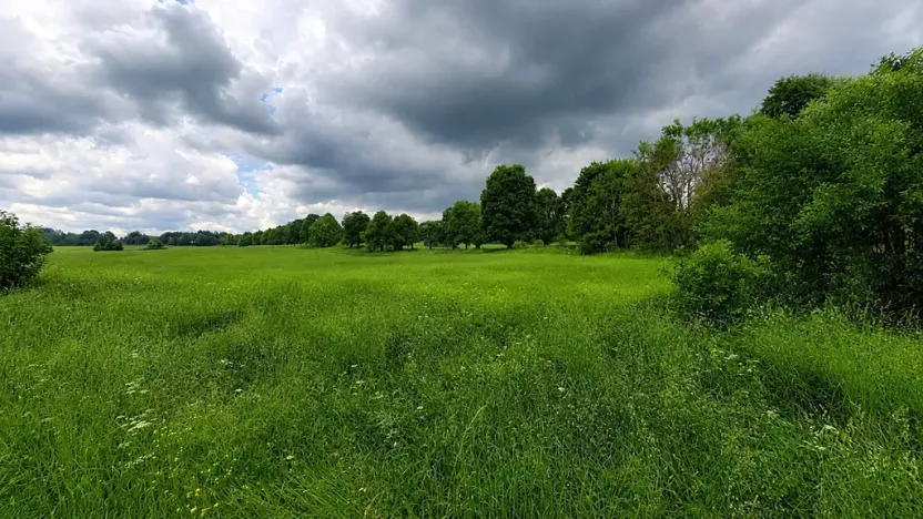 Prodej pozemku, Volary, Soumarská, 8002 m2