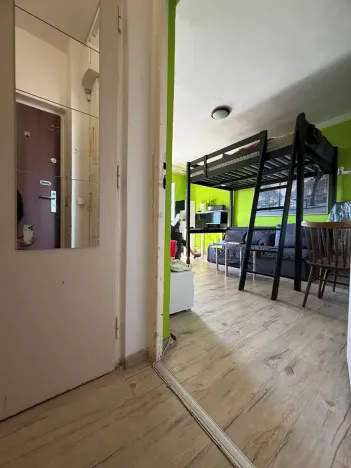 Prodej bytu 1+1, Brno, Halasovo náměstí, 31 m2