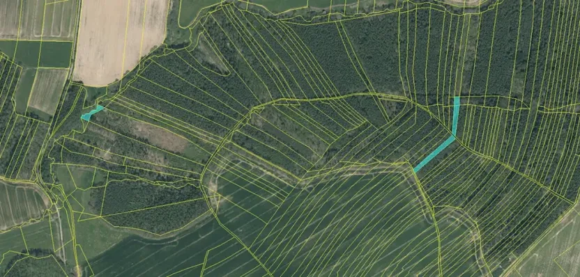 Prodej lesa, Vlastiboř, 3491 m2