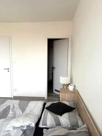 Pronájem bytu 3+kk, Plzeň, Otýlie Beníškové, 80 m2