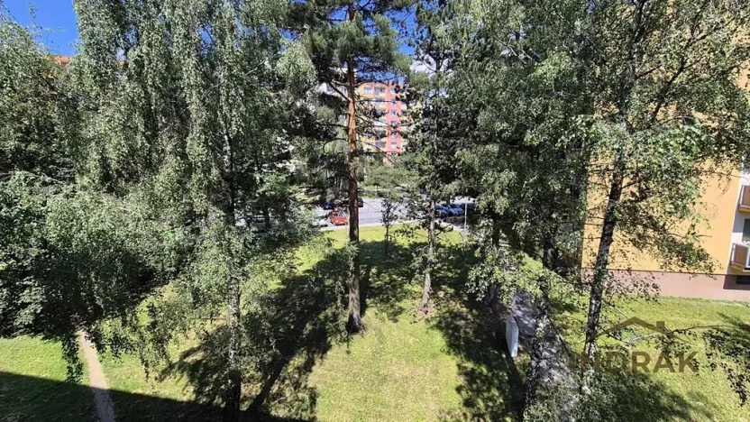Prodej bytu 3+1, Nový Jičín, Dlouhá, 65 m2