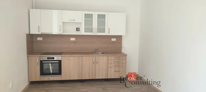 Pronájem bytu 2+kk, Ostrava - Moravská Ostrava, Mlýnská, 63 m2