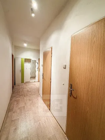 Pronájem bytu 2+1, Ostrov, S. K. Neumanna, 56 m2