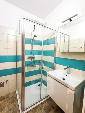 Pronájem bytu 2+1, Ostrov, S. K. Neumanna, 56 m2