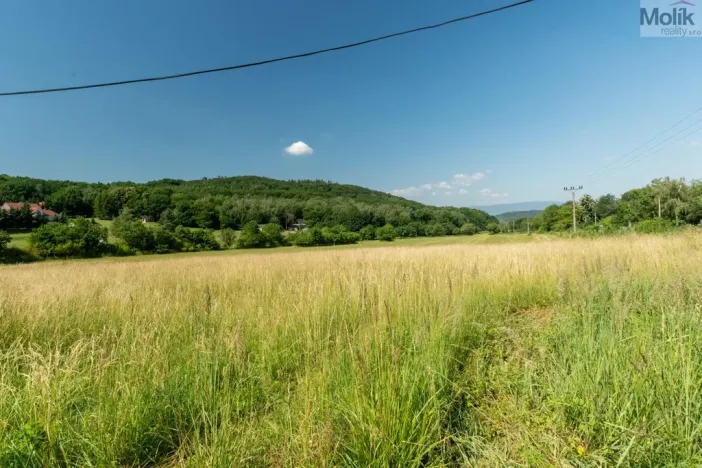 Prodej komerčního pozemku, Braňany - Kaňkov, 23391 m2