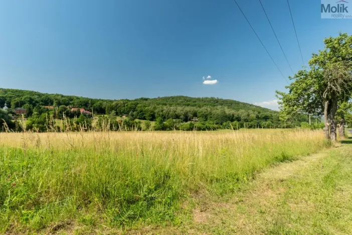 Prodej komerčního pozemku, Braňany - Kaňkov, 23391 m2