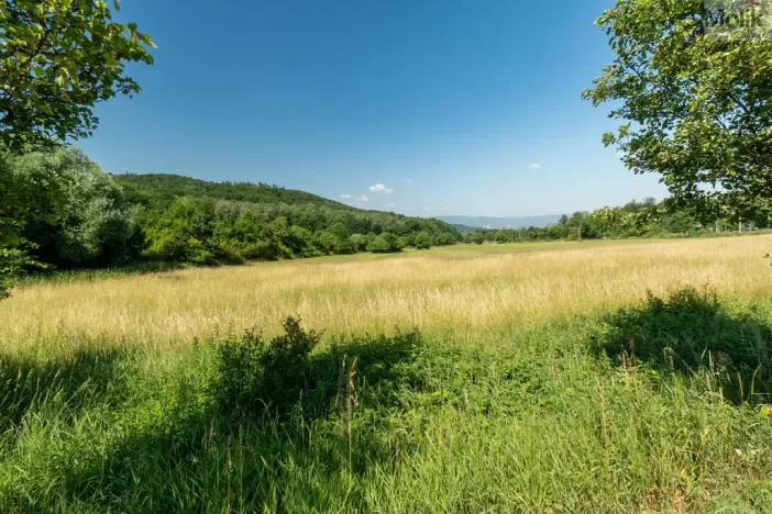 Prodej komerčního pozemku, Braňany - Kaňkov, 23391 m2