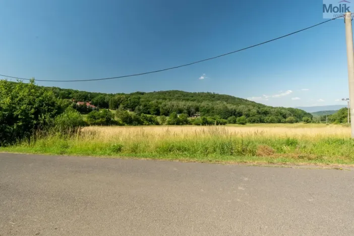 Prodej komerčního pozemku, Braňany - Kaňkov, 23391 m2