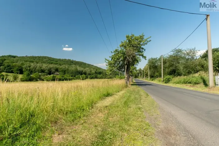 Prodej komerčního pozemku, Braňany - Kaňkov, 23391 m2