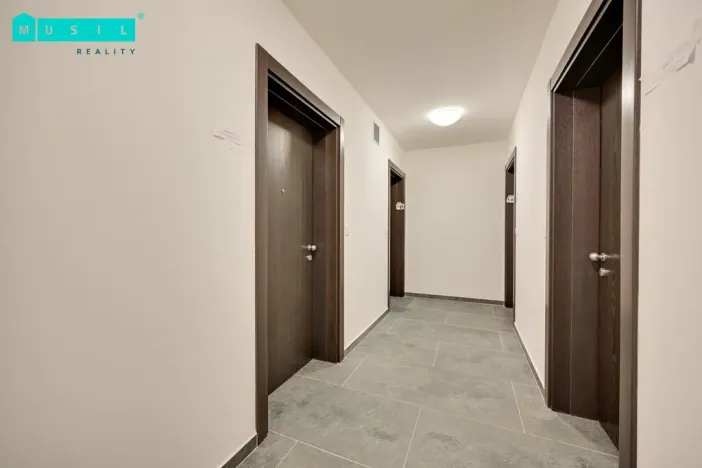 Pronájem bytu 2+kk, Olomouc - Nová Ulice, Třída Jiřího Pelikána, 44 m2