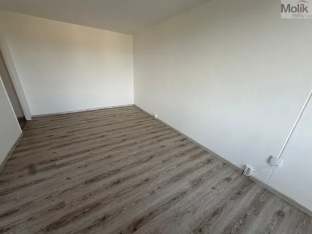 Prodej bytu 2+1, Bílina - Pražské Předměstí, Aléská, 48 m2