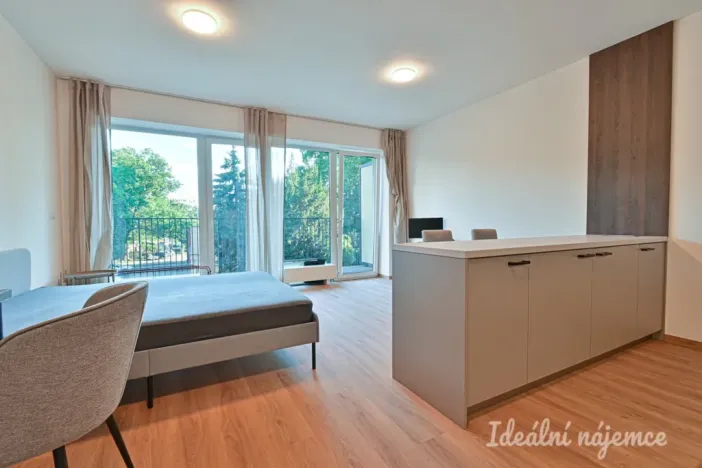 Pronájem bytu 1+kk, Brno, Hybešova, 39 m2