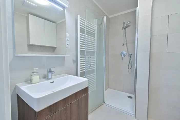 Pronájem bytu 1+kk, Brno, Hybešova, 39 m2
