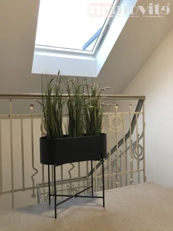 Pronájem bytu 1+kk, Hradec Králové, Chelčického, 36 m2