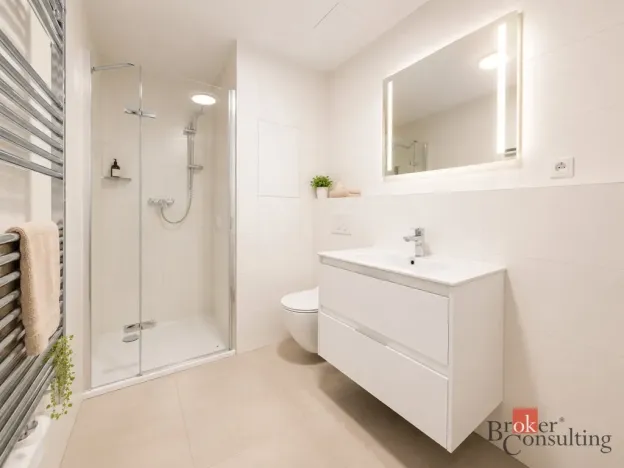 Pronájem bytu 1+kk, Plzeň - Jižní Předměstí, Železná, 35 m2
