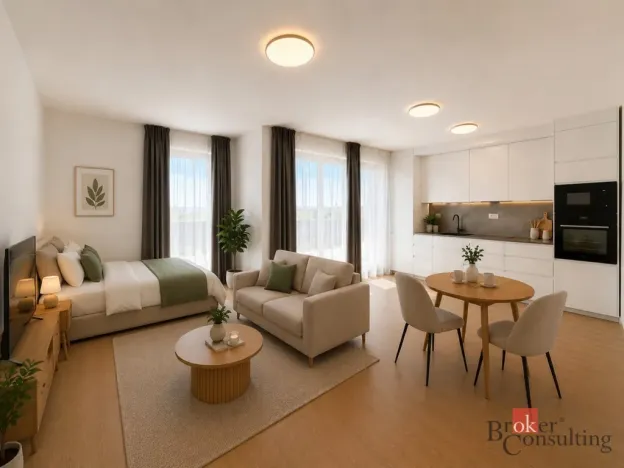 Pronájem bytu 1+kk, Plzeň - Jižní Předměstí, Železná, 35 m2