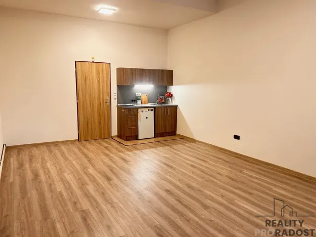 Pronájem bytu 1+kk, Olomouc - Hodolany, Březinova, 45 m2