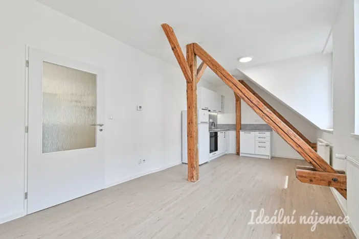 Pronájem bytu 1+1, Brno, Slovinská, 45 m2