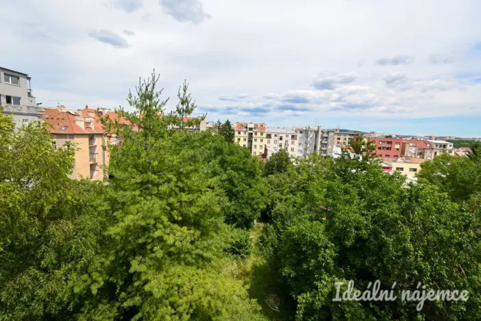 Pronájem bytu 1+1, Brno, Slovinská, 45 m2