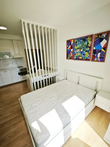 Pronájem bytu 1+kk, Praha - Holešovice, V závětří, 34 m2
