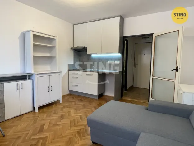 Pronájem bytu 1+kk, Ostrava, Krakovská, 20 m2