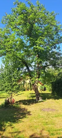 Prodej pozemku pro bydlení, Žabovřesky, 705 m2