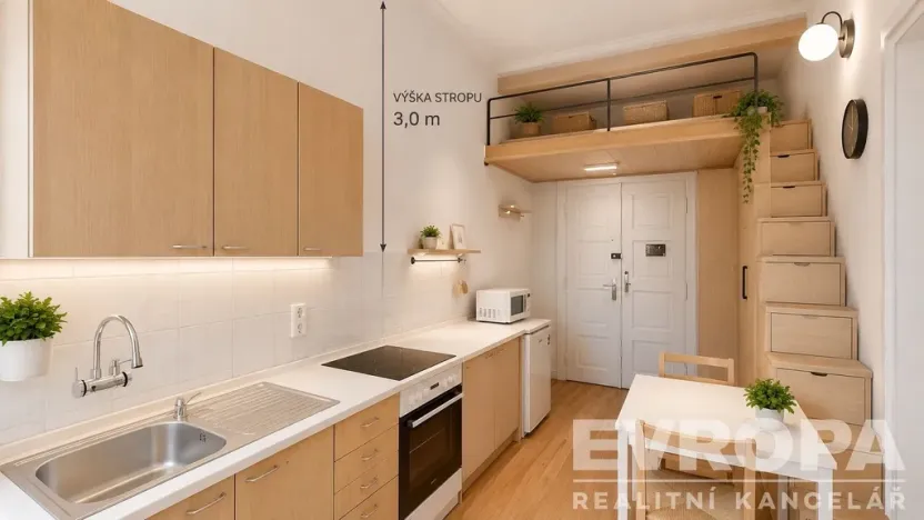 Prodej bytu 1+kk, Praha - Nusle, Soudní, 30 m2