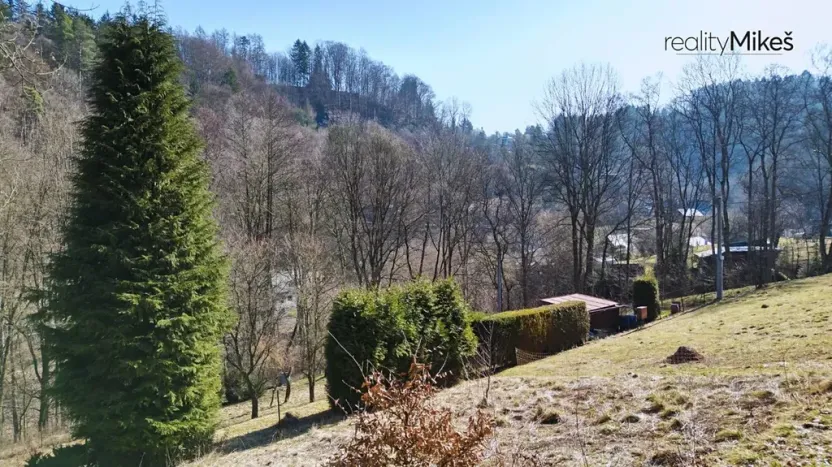 Prodej louky, Železný Brod, 4168 m2