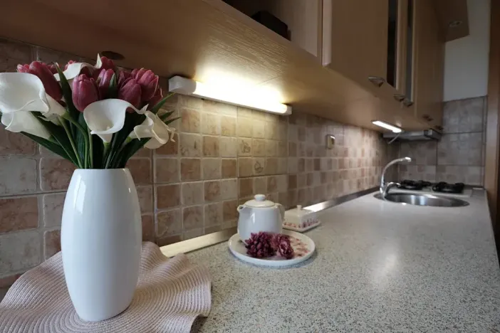 Pronájem bytu 2+1, Uherský Brod, Luhanova, 63 m2