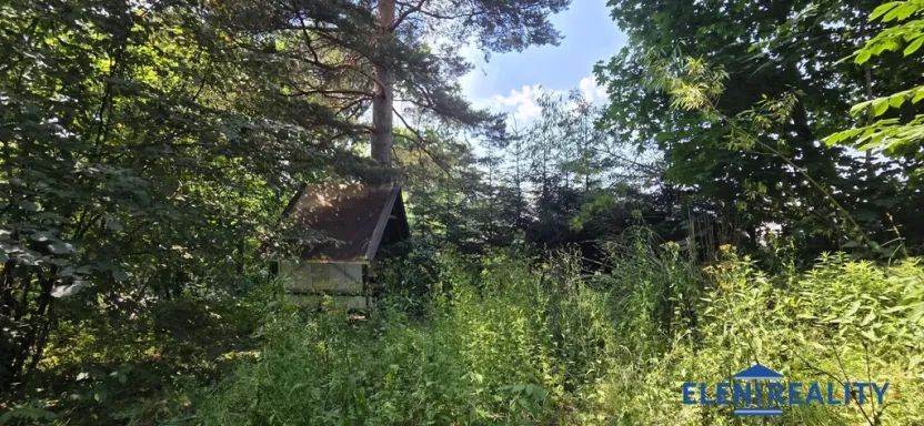 Prodej zahrady, Bělá pod Pradědem - Adolfovice, 950 m2
