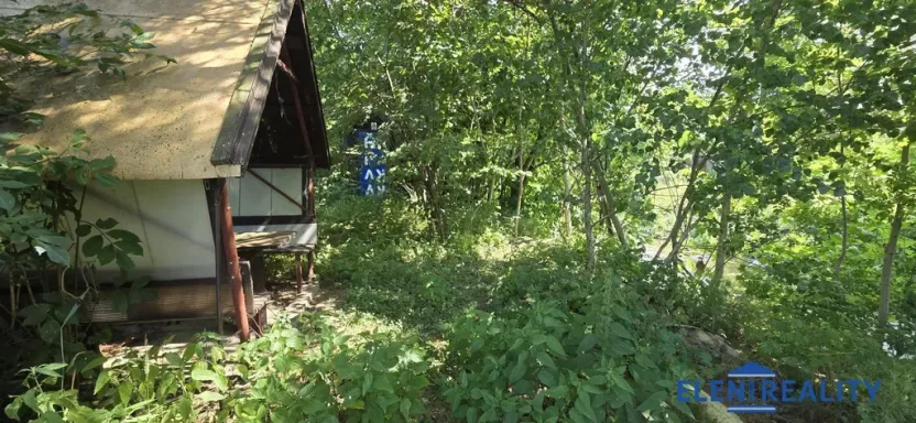 Prodej zahrady, Bělá pod Pradědem - Adolfovice, 950 m2