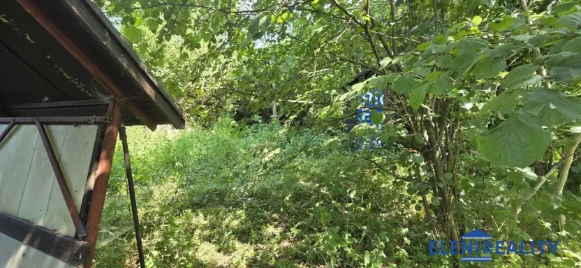 Prodej zahrady, Bělá pod Pradědem - Adolfovice, 950 m2