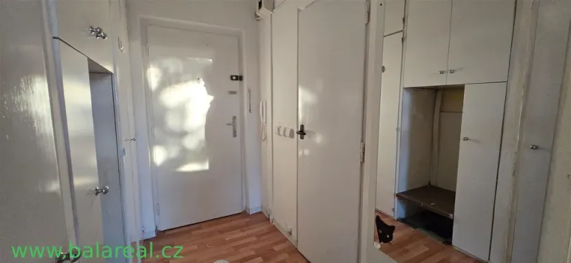 Pronájem bytu 1+kk, Brno, Halasovo náměstí, 24 m2