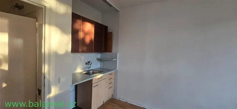 Pronájem bytu 1+kk, Brno, Halasovo náměstí, 24 m2