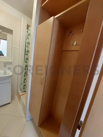 Pronájem bytu 1+kk, Olomouc, Panská, 25 m2