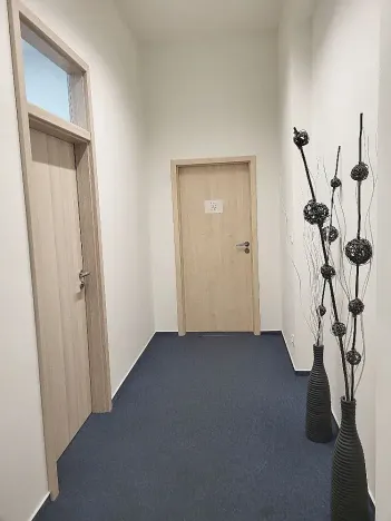 Pronájem kanceláře, Brno, Cejl, 21 m2