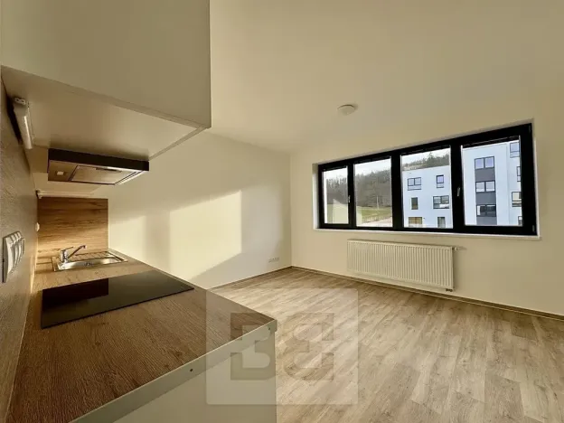Pronájem bytu 1+kk, Kuřim, 30 m2
