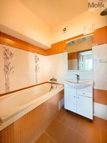 Pronájem bytu 1+kk, Litvínov - Horní Litvínov, Podkrušnohorská, 33 m2