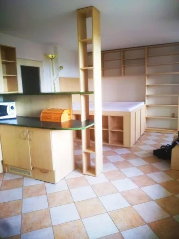 Pronájem bytu 1+kk, Plzeň - Jižní Předměstí, Máchova, 36 m2
