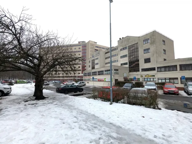 Pronájem bytu 1+kk, Litvínov - Horní Litvínov, Koldům, 32 m2