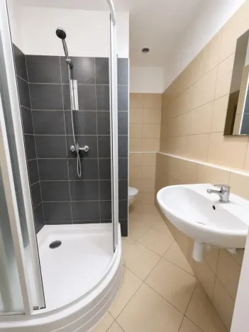 Pronájem bytu 1+kk, Cheb, 17. listopadu, 23 m2