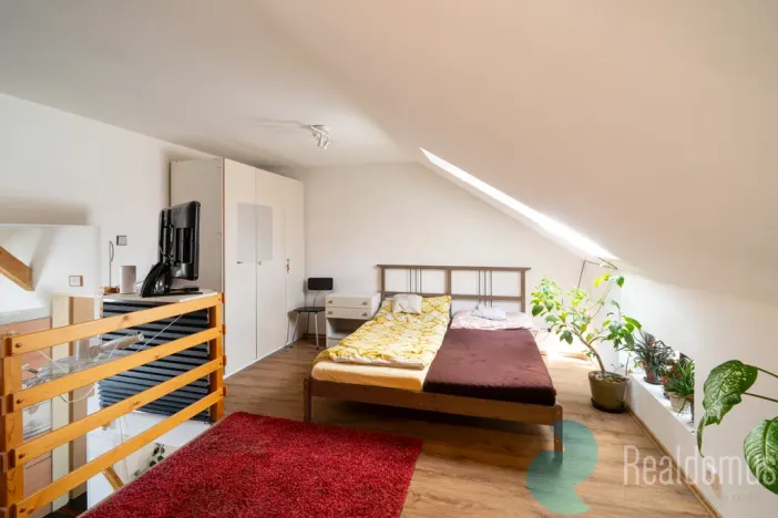 Prodej atypického bytu, Trhové Sviny, Nové město, 210 m2