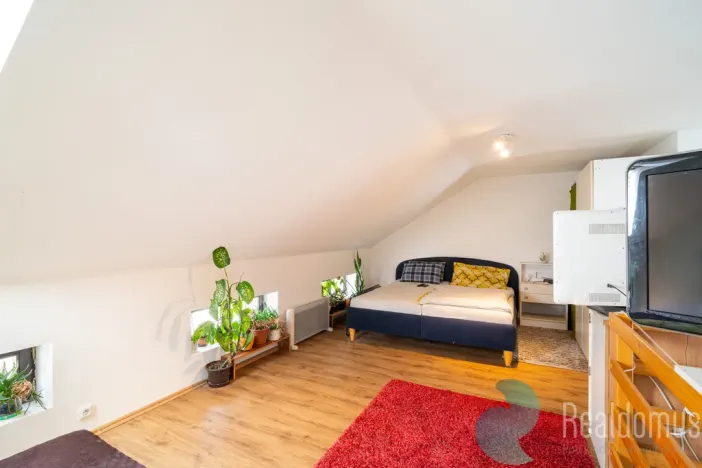 Prodej vícegeneračního domu, Trhové Sviny, Nové město, 210 m2
