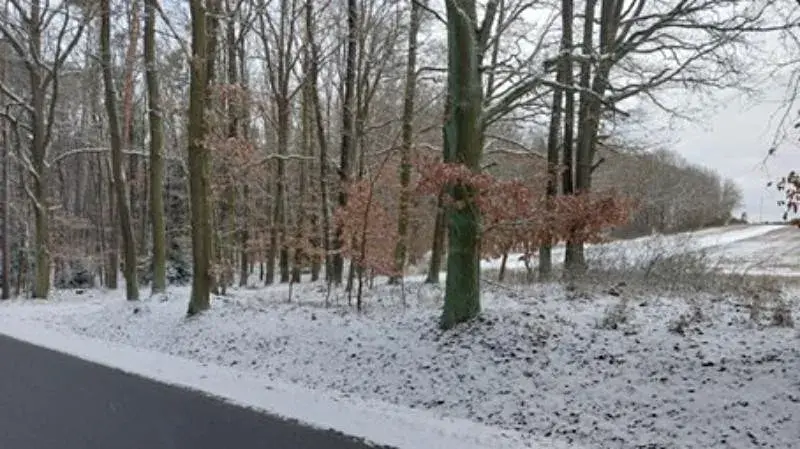 Prodej lesa, Obora, 119 m2